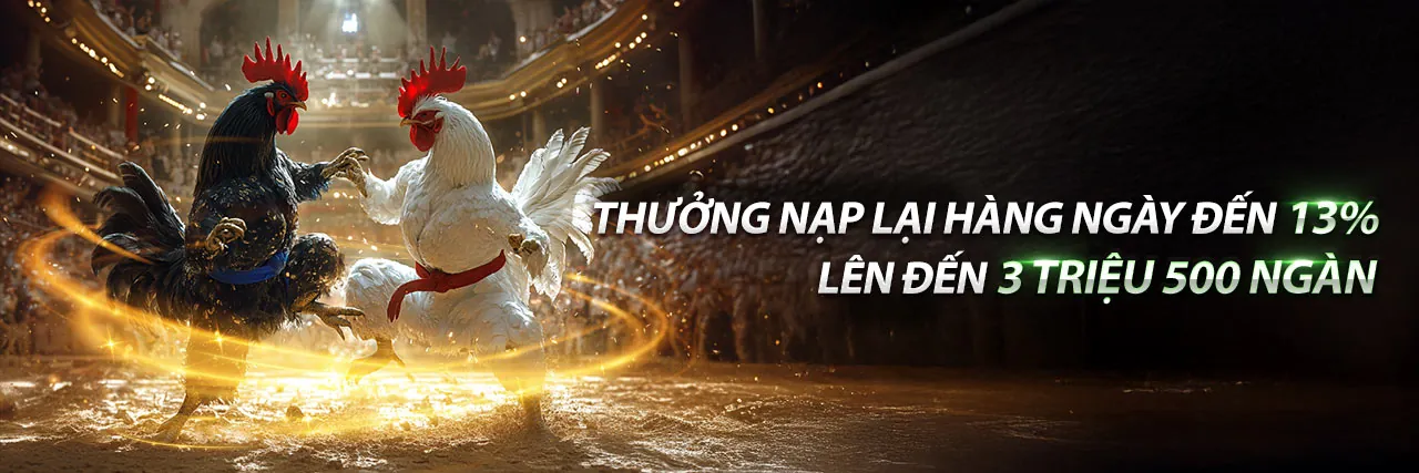 Đá Gà Chọi Trực Tuyến Hấp Dẫn